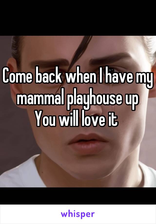 Come back when I have my mammal playhouse up 
You will love it 