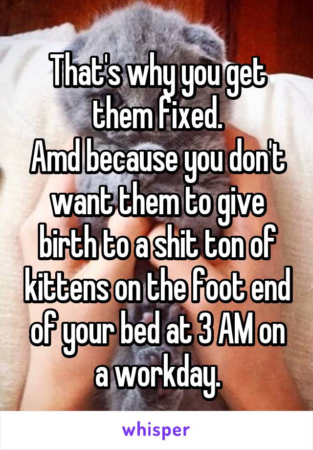 That's why you get them fixed.
Amd because you don't want them to give birth to a shit ton of kittens on the foot end of your bed at 3 AM on a workday.