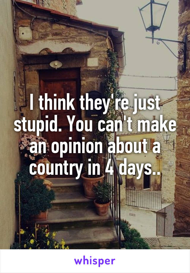 I think they're just stupid. You can't make an opinion about a country in 4 days..