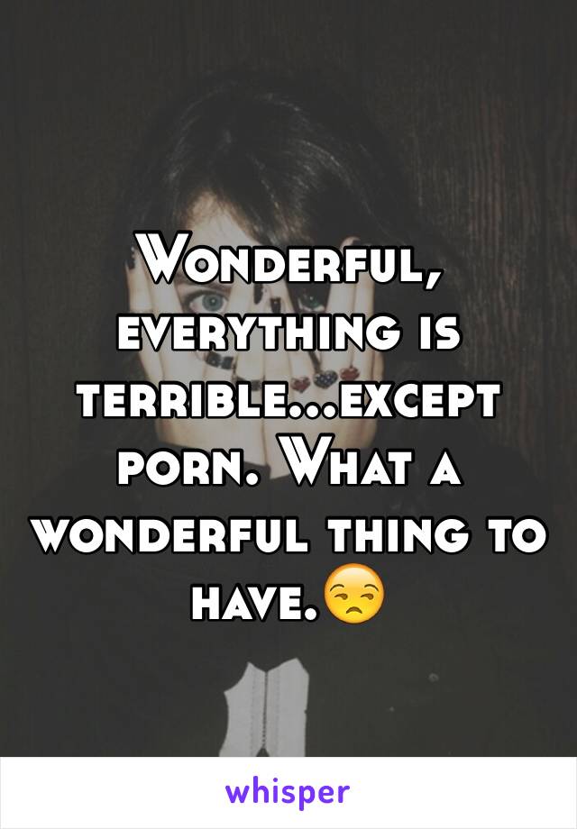 Wonderful, everything is terrible...except porn. What a wonderful thing to have.😒