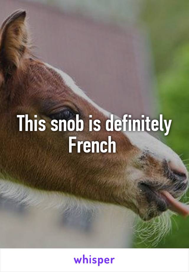 This snob is definitely French 