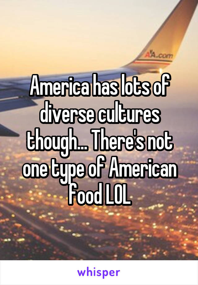 America has lots of diverse cultures though... There's not one type of American food LOL