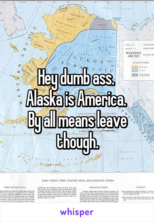 Hey dumb ass. 
Alaska is America. 
By all means leave though.