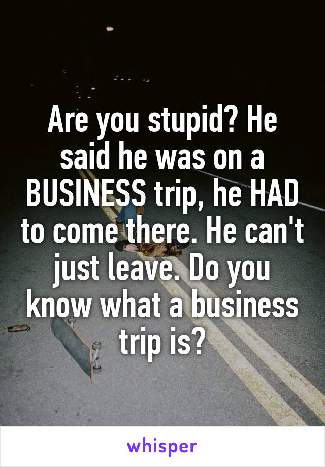 Are you stupid? He said he was on a BUSINESS trip, he HAD to come there. He can't just leave. Do you know what a business trip is?