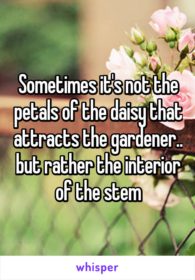 Sometimes it's not the petals of the daisy that attracts the gardener.. but rather the interior of the stem