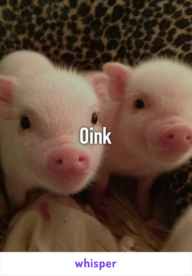 Oink