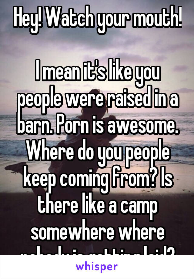 Hey! Watch your mouth! 
I mean it's like you people were raised in a barn. Porn is awesome. Where do you people keep coming from? Is there like a camp somewhere where nobody is getting laid?