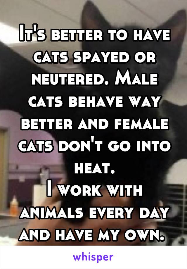 It's better to have cats spayed or neutered. Male cats behave way better and female cats don't go into heat.
I work with animals every day and have my own. 