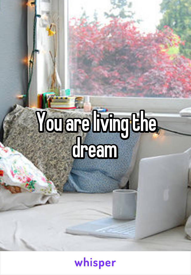 You are living the dream 