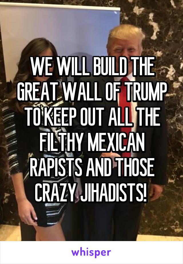 WE WILL BUILD THE GREAT WALL OF TRUMP TO KEEP OUT ALL THE FILTHY MEXICAN RAPISTS AND THOSE CRAZY JIHADISTS! 