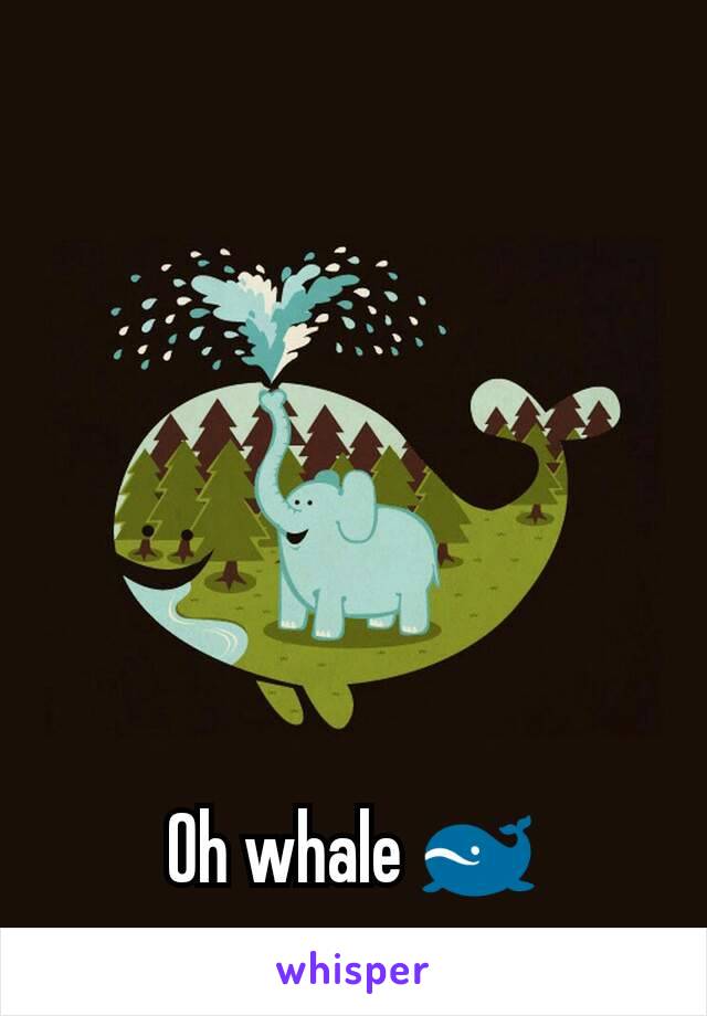 Oh whale 🐋