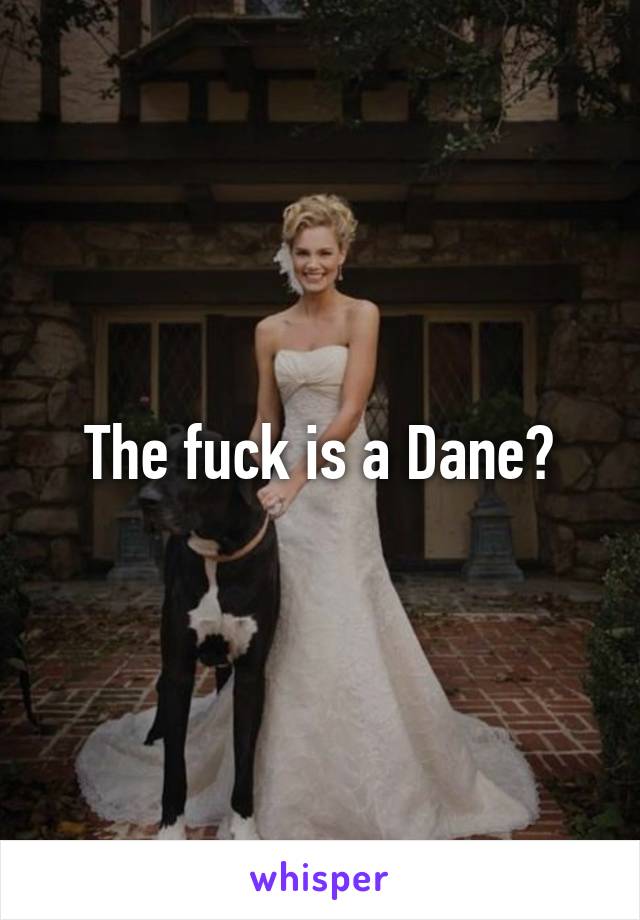 The fuck is a Dane?