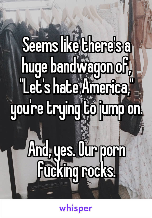 Seems like there's a huge bandwagon of, "Let's hate America," you're trying to jump on.

And, yes. Our porn fucking rocks.