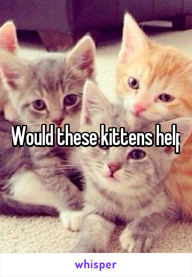 Would these kittens help