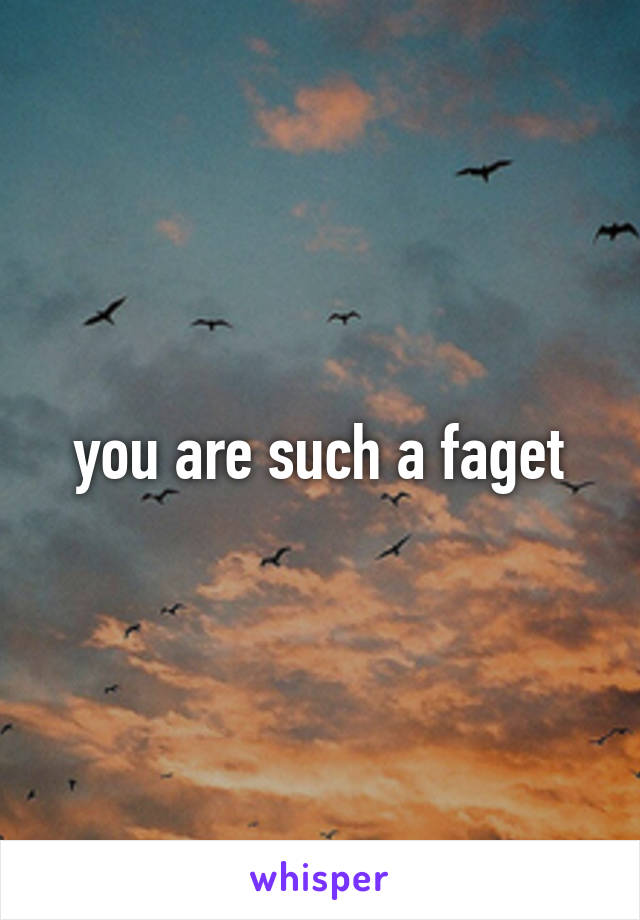 you are such a faget