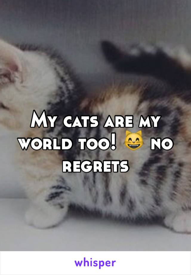 My cats are my world too! 😸 no regrets 