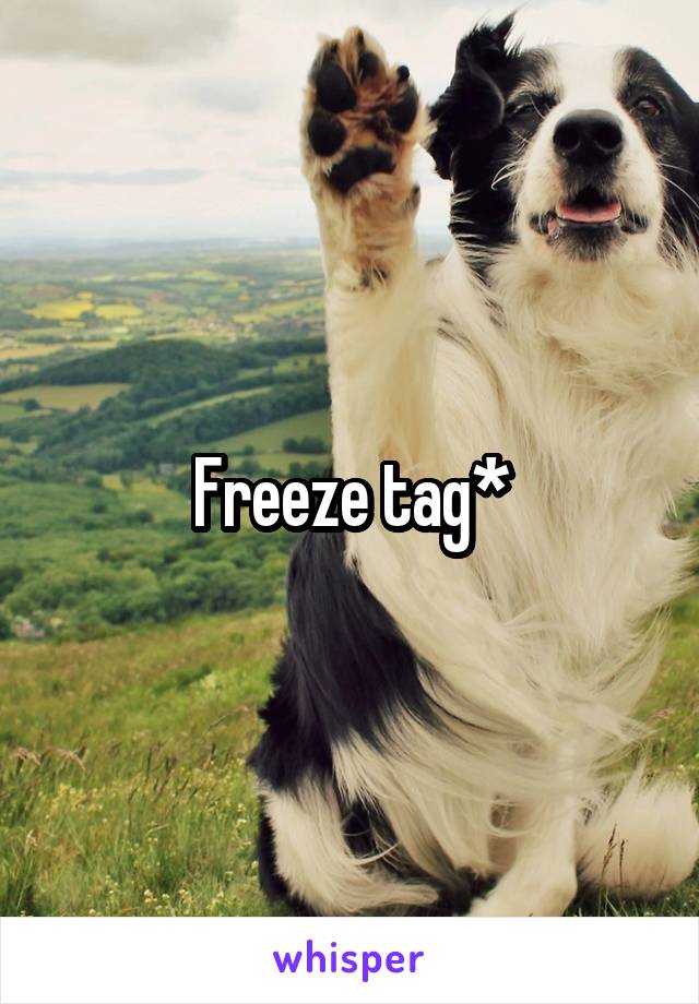 Freeze tag*