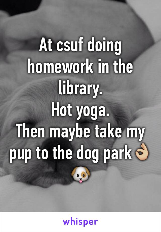 At csuf doing homework in the library.
Hot yoga.
Then maybe take my pup to the dog park👌🏼🐶
