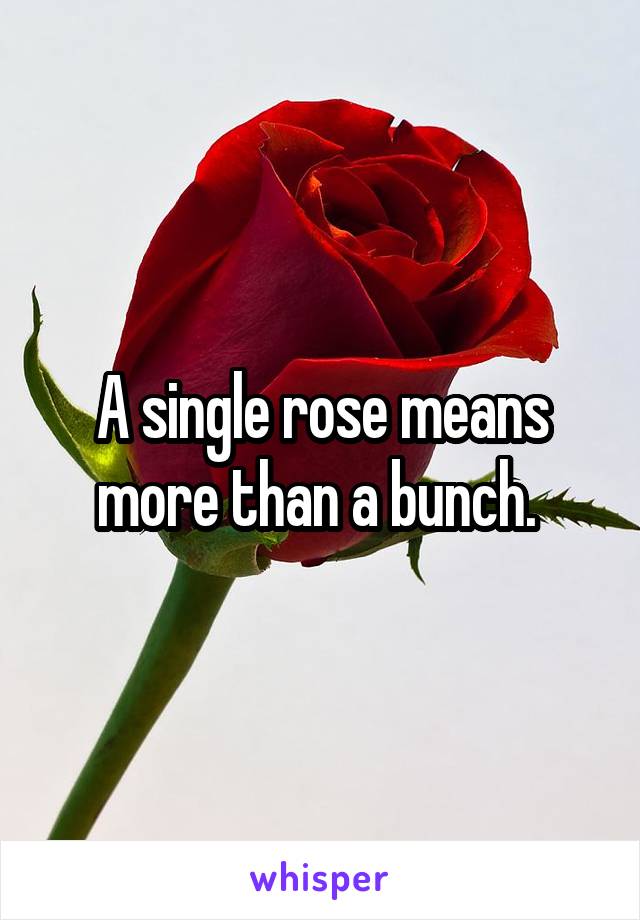 A single rose means more than a bunch. 