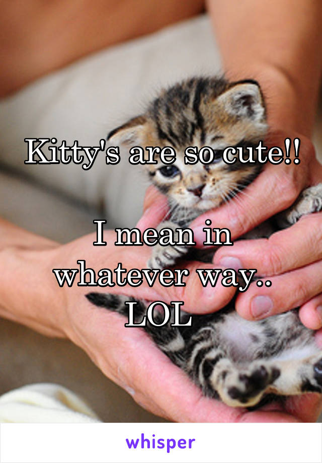 Kitty's are so cute!! 
I mean in whatever way.. LOL 