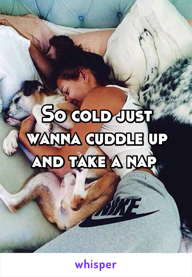 So cold just wanna cuddle up and take a nap 