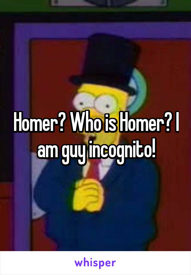 Homer? Who is Homer? I am guy incognito!
