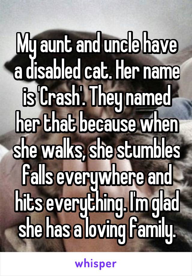 My aunt and uncle have a disabled cat. Her name is 'Crash'. They named her that because when she walks, she stumbles falls everywhere and hits everything. I'm glad she has a loving family.