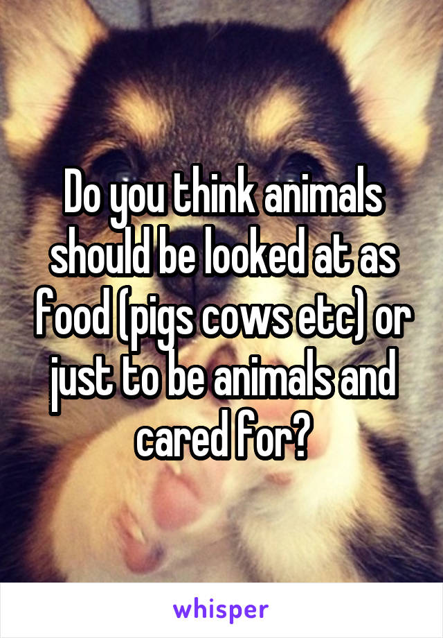 Do you think animals should be looked at as food (pigs cows etc) or just to be animals and cared for?