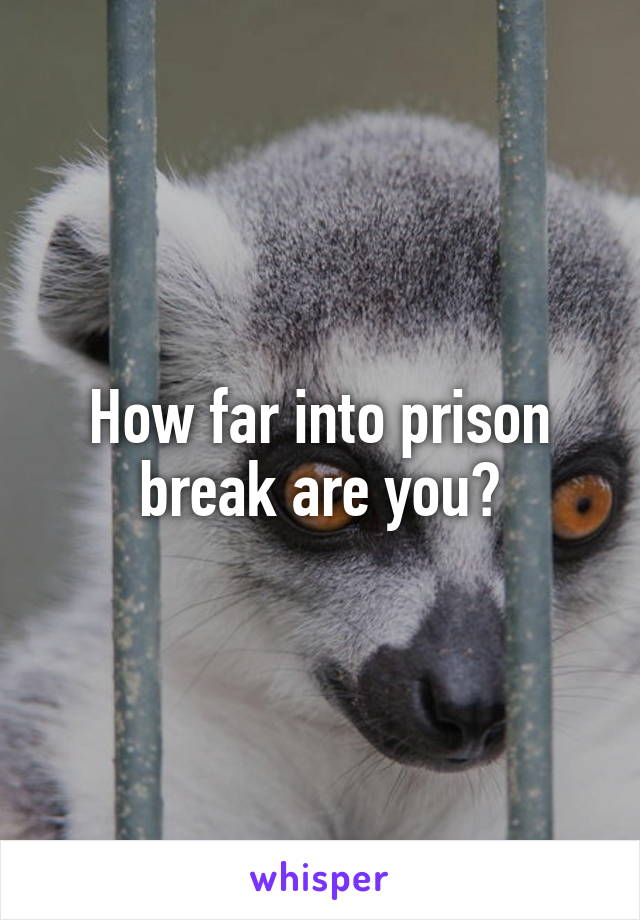 How far into prison break are you?