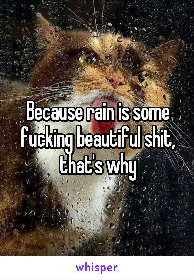 Because rain is some fucking beautiful shit, that's why
