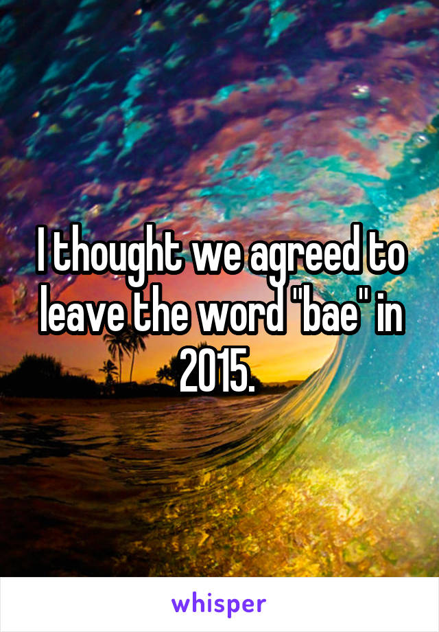 I thought we agreed to leave the word "bae" in 2015. 