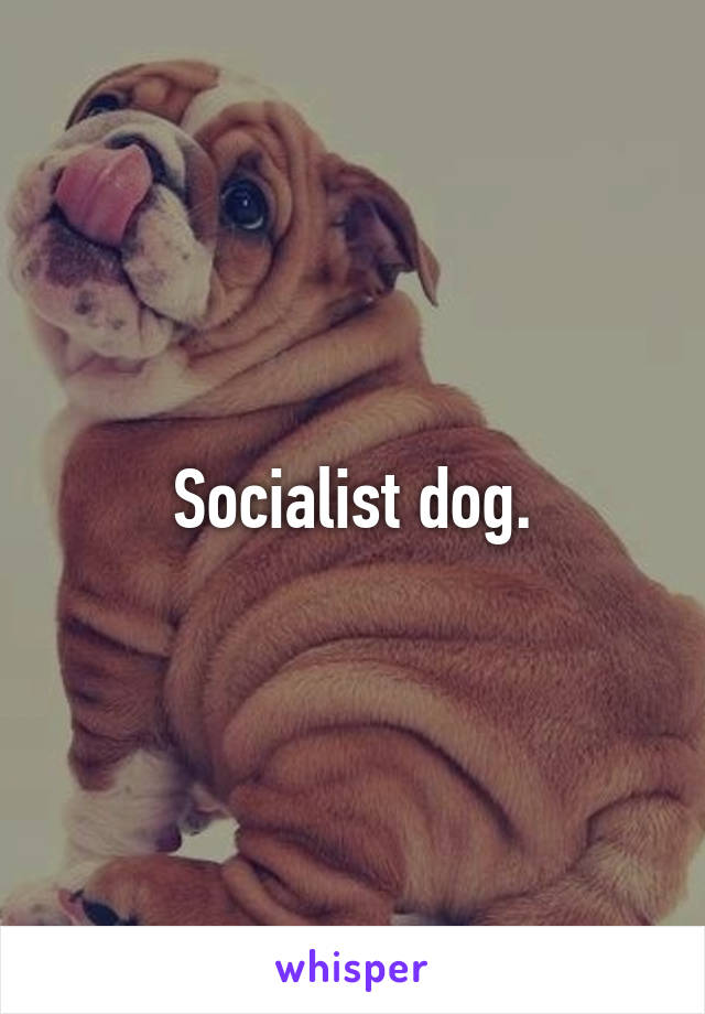 Socialist dog.