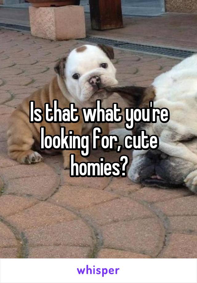 Is that what you're looking for, cute homies?