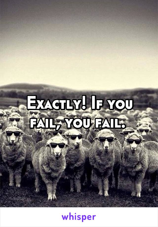 Exactly! If you fail, you fail. 