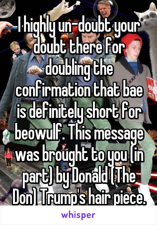 I highly un-doubt your doubt there for doubling the confirmation that bae is definitely short for beowulf. This message was brought to you (in part) by Donald (The Don) Trump's hair piece.