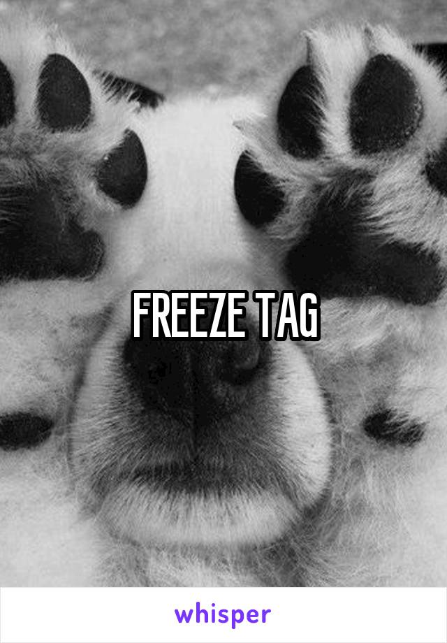 FREEZE TAG