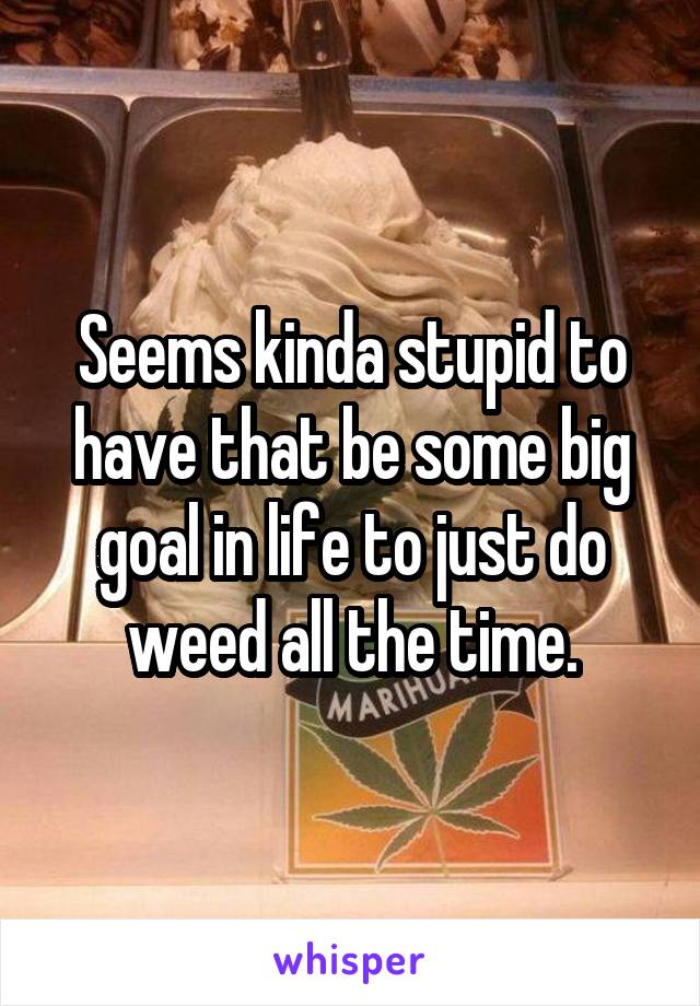 Seems kinda stupid to have that be some big goal in life to just do weed all the time.