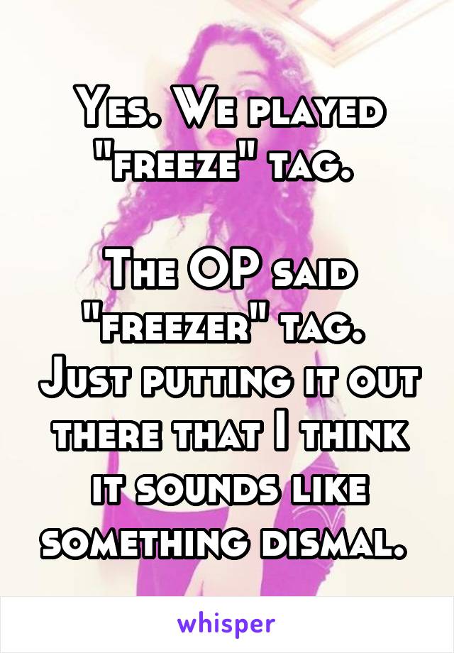 Yes. We played "freeze" tag. 

The OP said "freezer" tag.  Just putting it out there that I think it sounds like something dismal. 