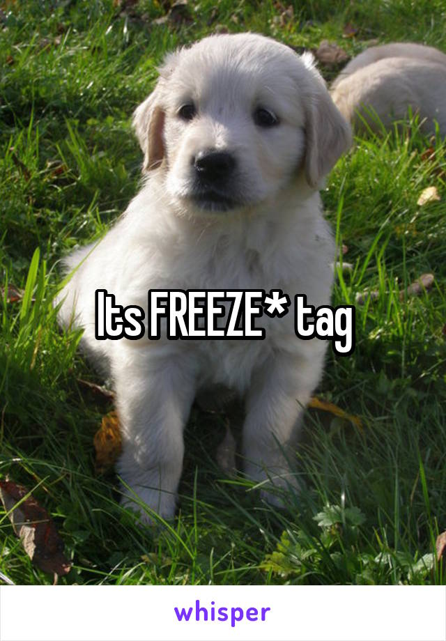 Its FREEZE* tag