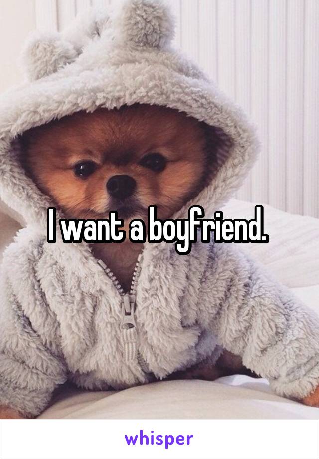 I want a boyfriend. 