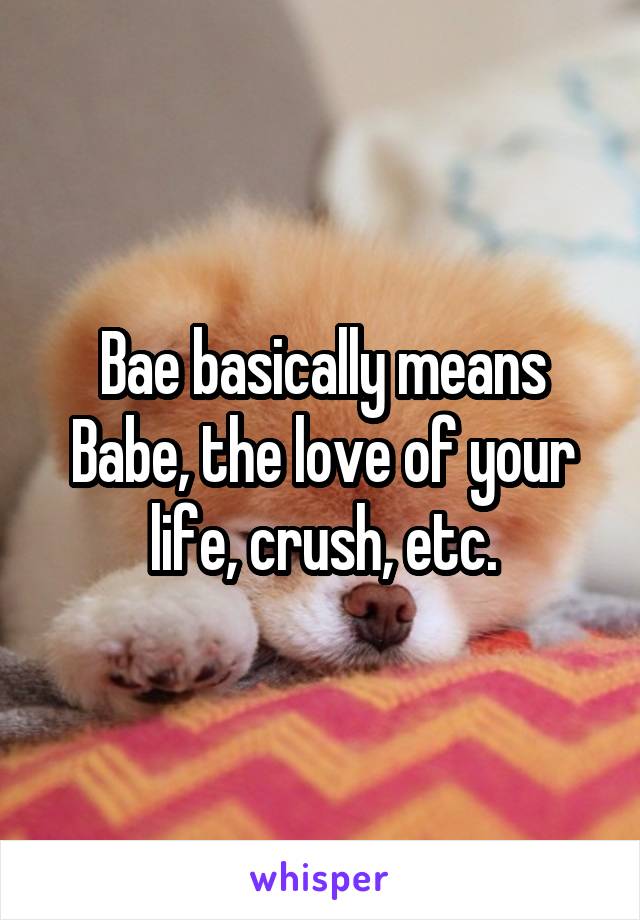 Bae basically means Babe, the love of your life, crush, etc.