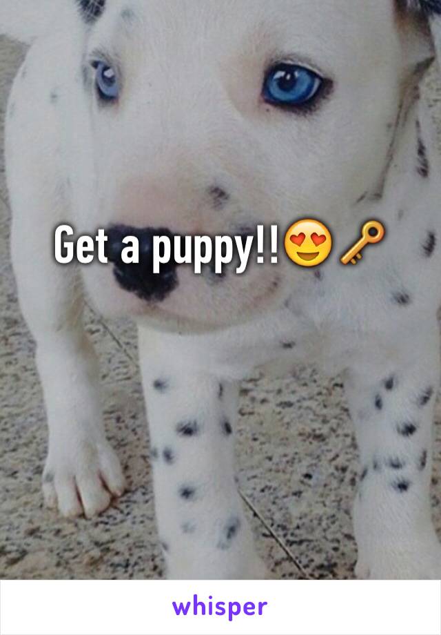 Get a puppy!!😍🔑