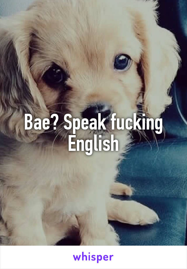 Bae? Speak fucking English