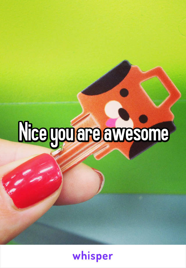 Nice you are awesome