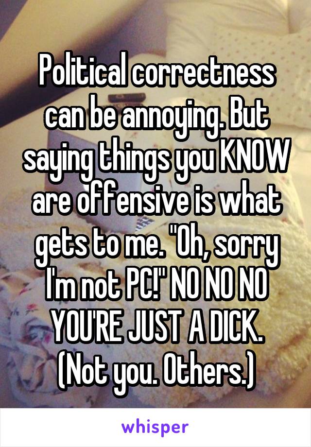 Political correctness can be annoying. But saying things you KNOW are offensive is what gets to me. "Oh, sorry I'm not PC!" NO NO NO YOU'RE JUST A DICK.
(Not you. Others.)