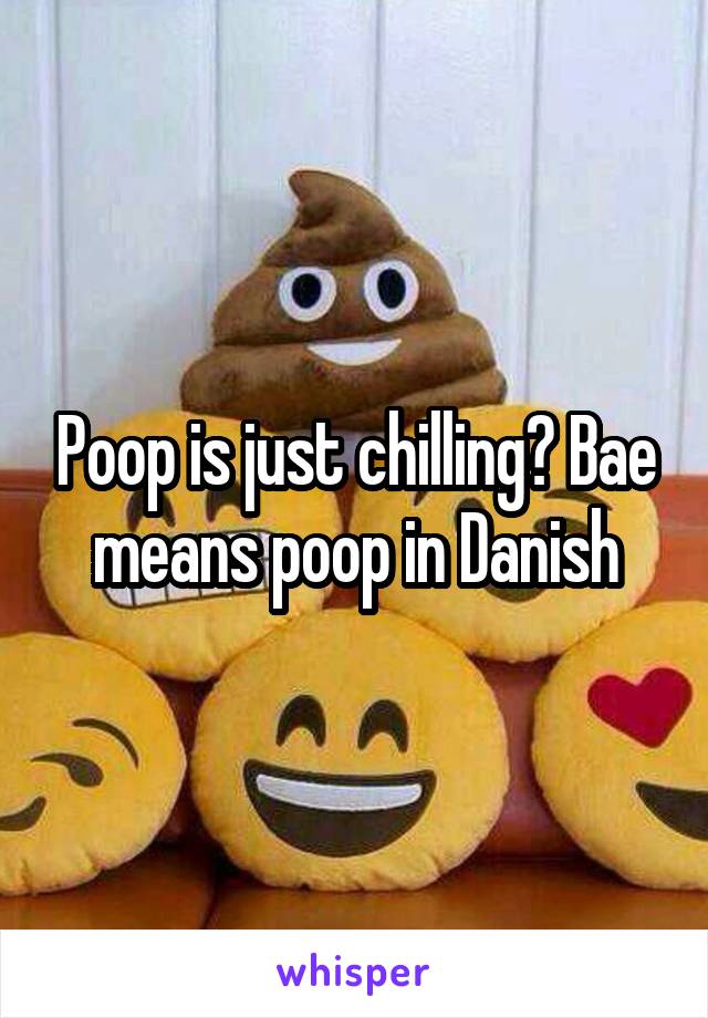 Poop is just chilling? Bae means poop in Danish
