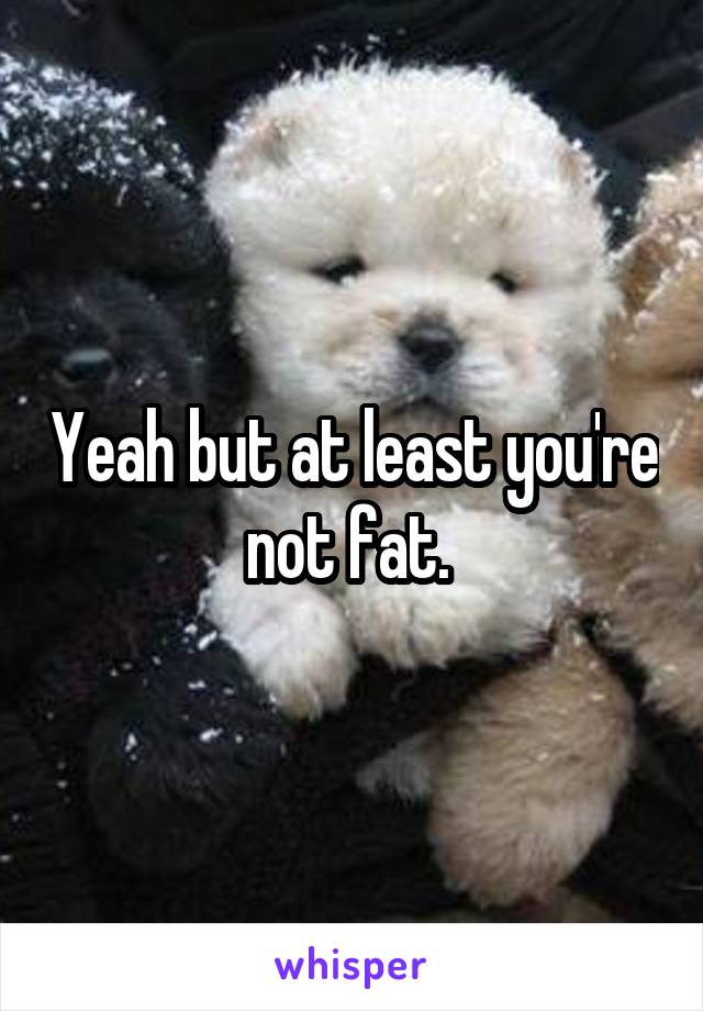 Yeah but at least you're not fat. 