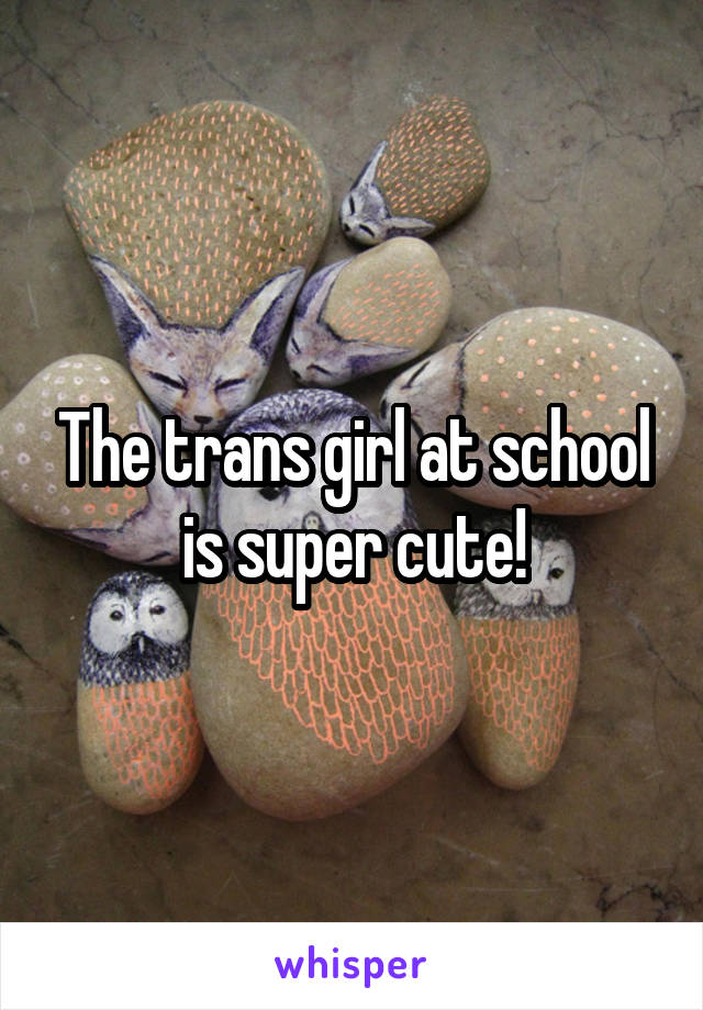 The trans girl at school is super cute!