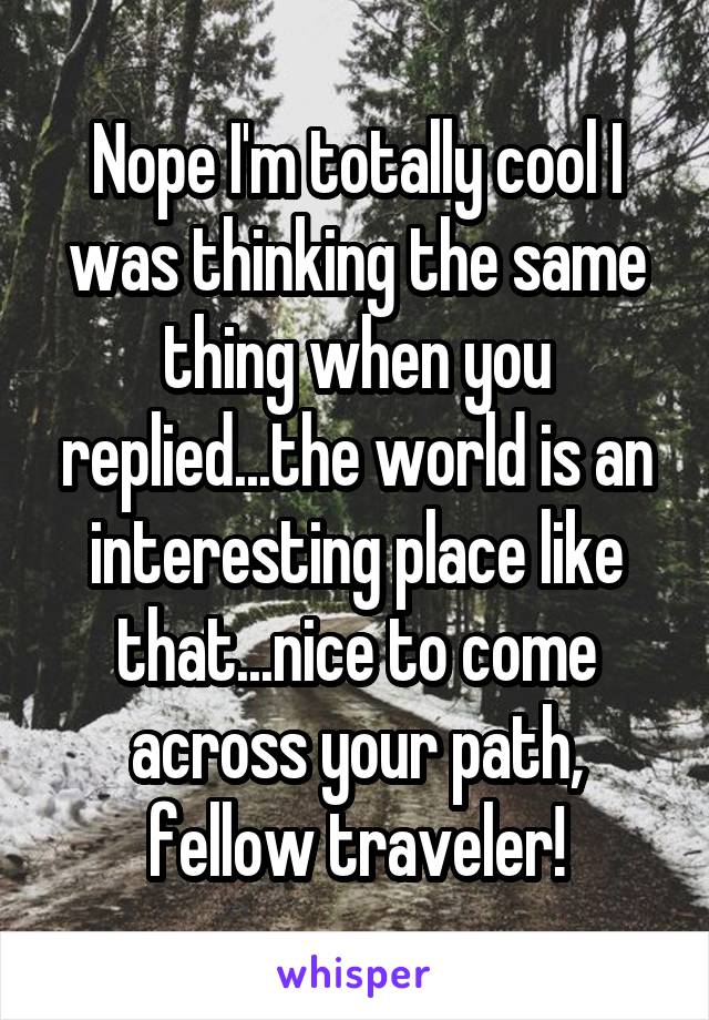 Nope I'm totally cool I was thinking the same thing when you replied...the world is an interesting place like that...nice to come across your path, fellow traveler!