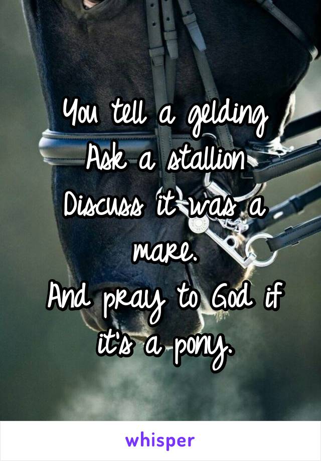 You tell a gelding
Ask a stallion
Discuss it was a mare.
And pray to God if it's a pony.